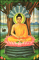 The great enlightened one, the Buddha.