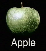 The Apple logo for the Beatles company to handle all their business affairs. Officially called Apple Corps Ltd.